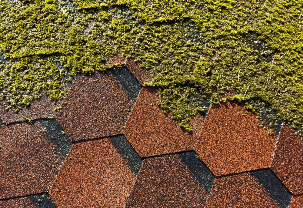 Maintaining the Appearance of Your Home